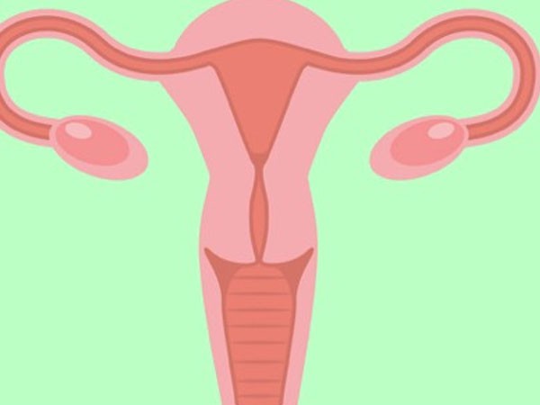 5 sự thật thú vị mọi phụ nữ nên biết về buồng trứng
