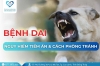Bệnh dại: Nguy hiểm tiềm ẩn và cách phòng tránh hiệu quả