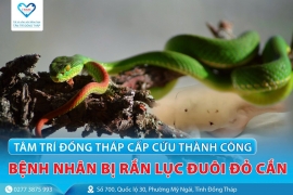 Bệnh viên Tâm Trí Đồng Tháp cấp cứu thành công cụ ông bị rắn lục đuôi đỏ cắn